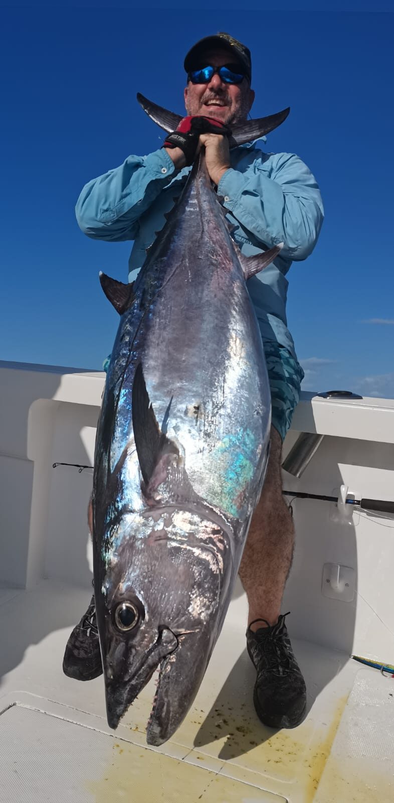 A dogtooth tuna off Nosy Be