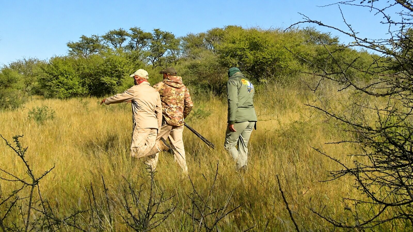 Trackers leading the way through long grass