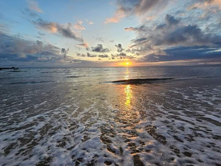 Low tide at sunset
