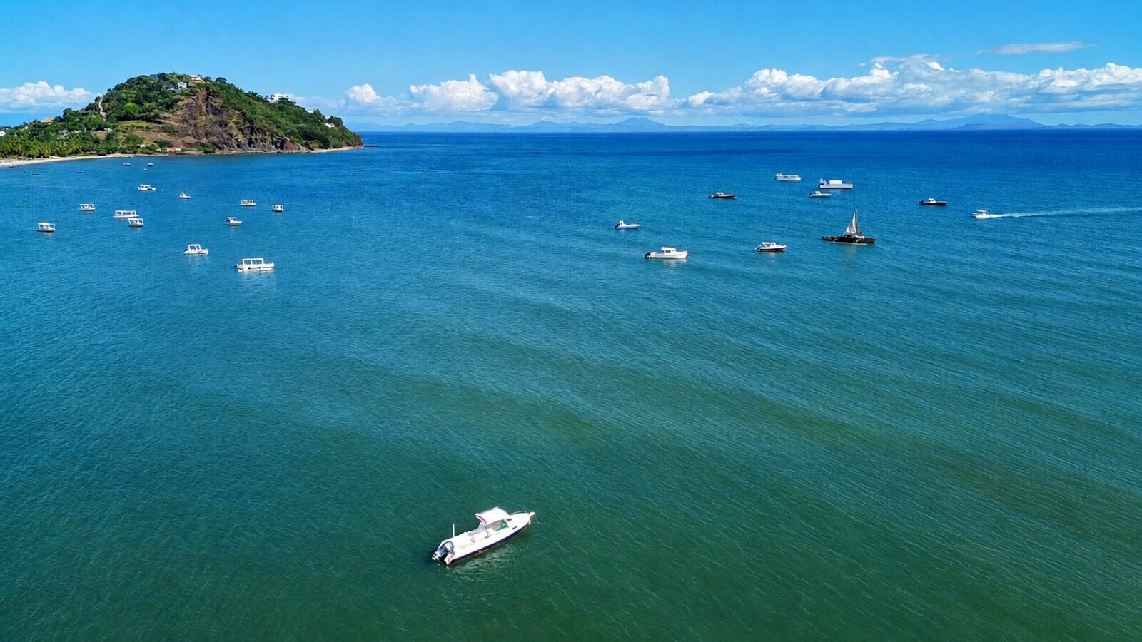 The bay full of boats