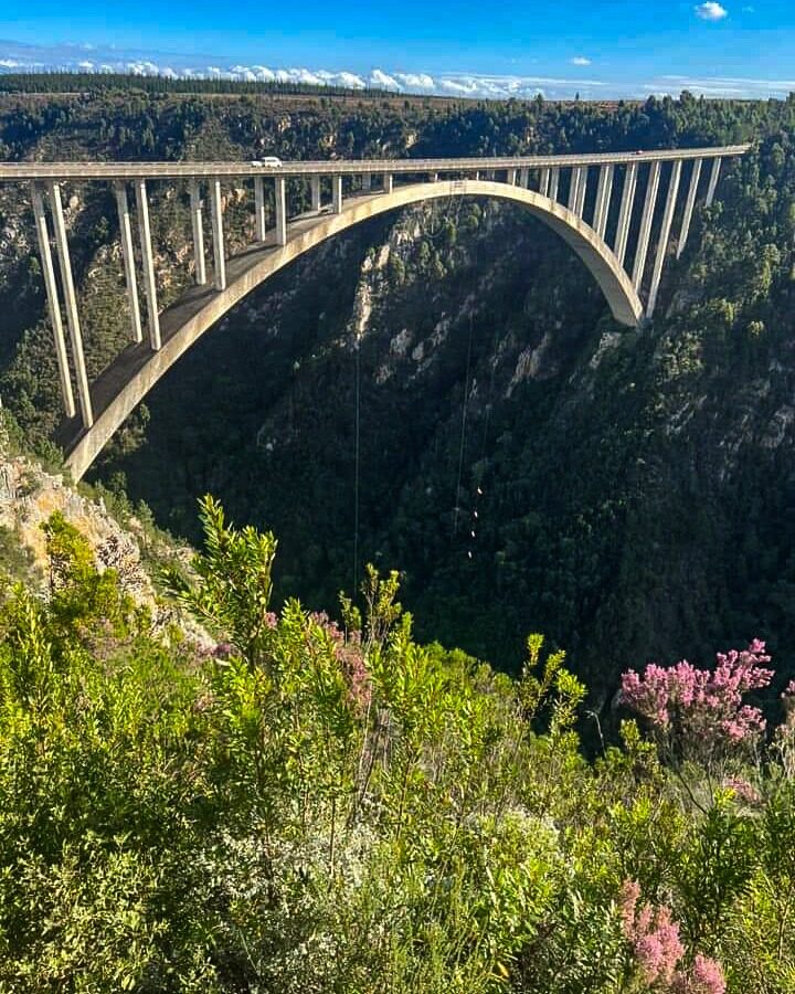 The Bloukrans Bridge arching over a forested gorge