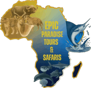 Epic Paradise Tours & Safaris