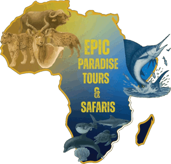 Epic Paradise Tours & Safaris