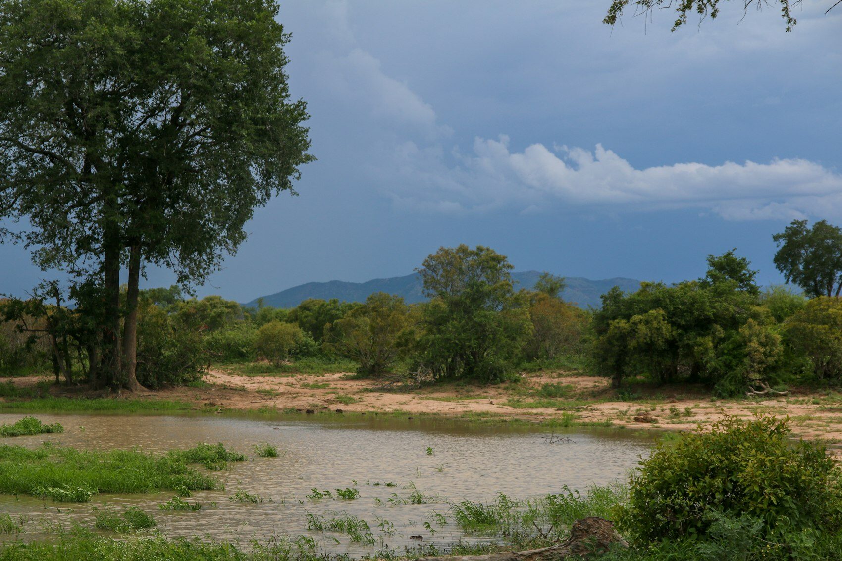 A river in the bushveld.