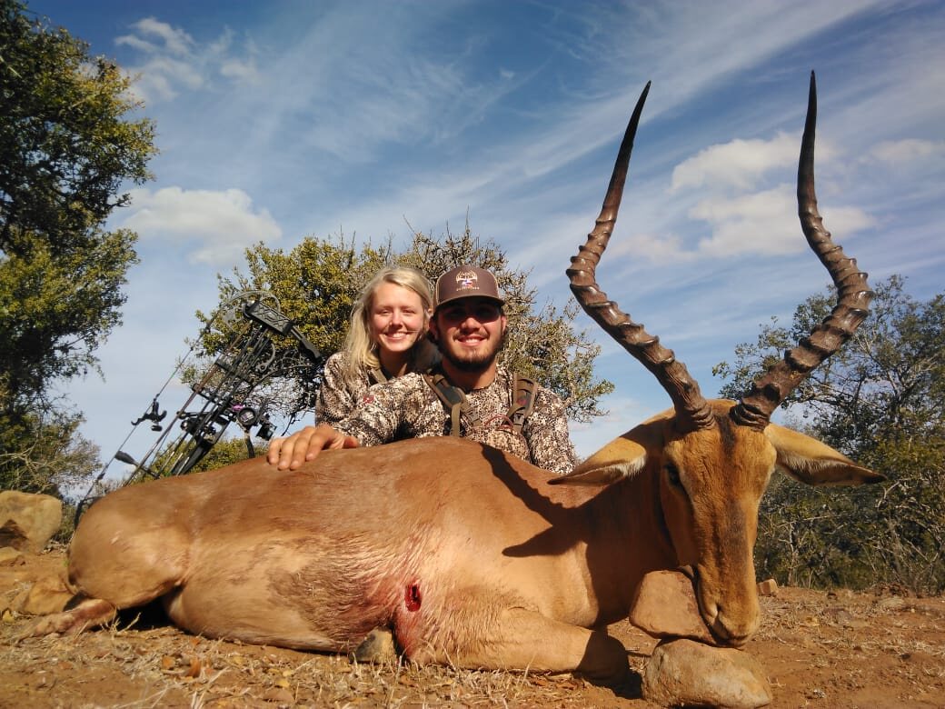 Bow hunters with an impala ram in South Africa