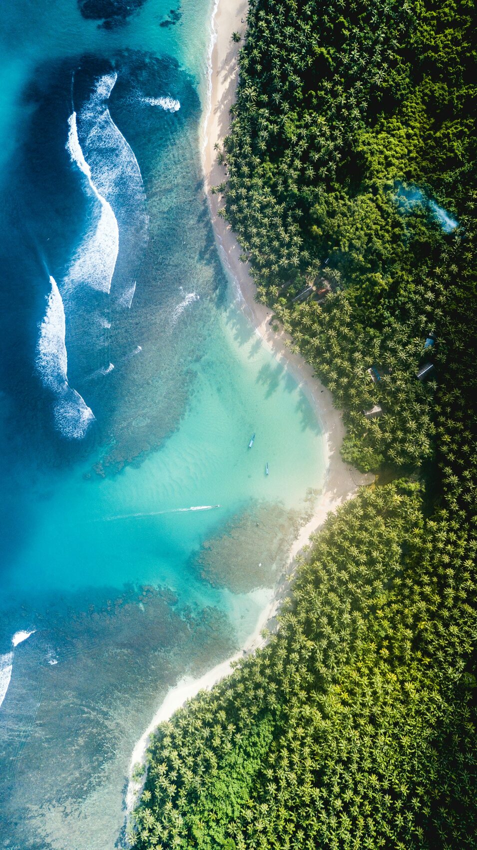 The coastline and reef edge from the air
