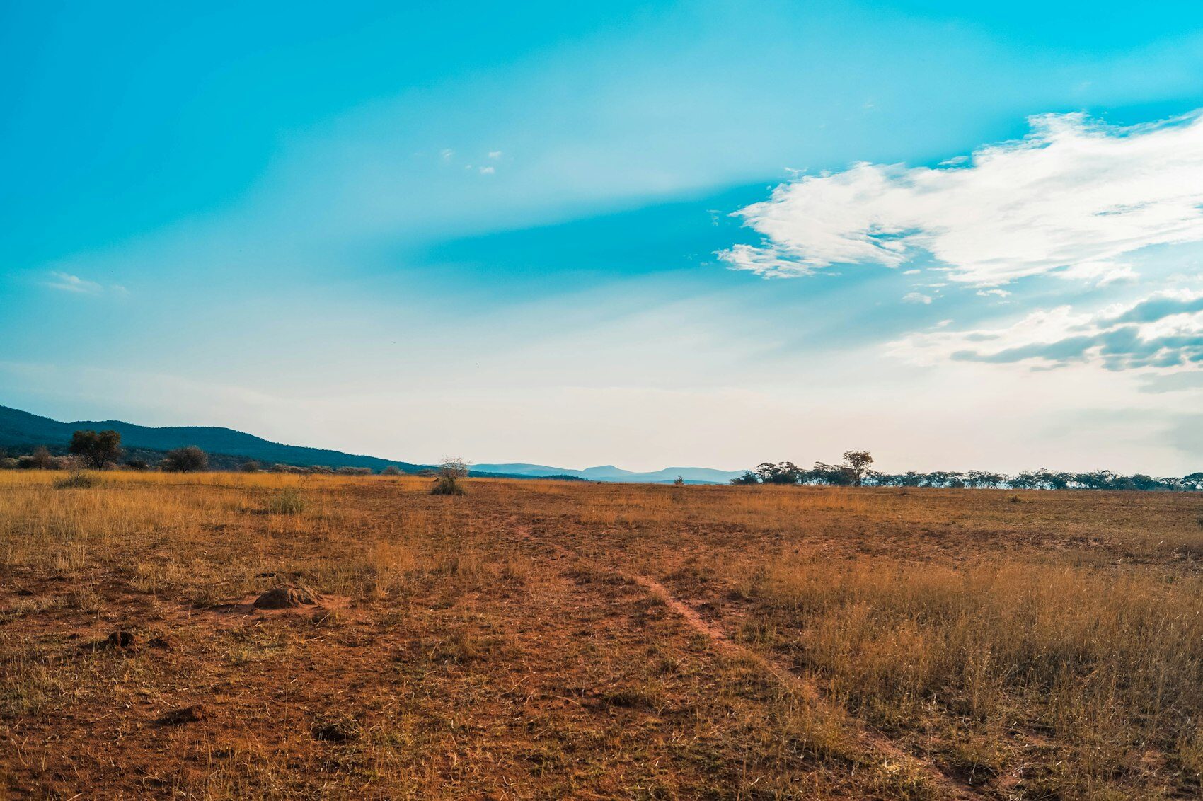 Red sand and open grass