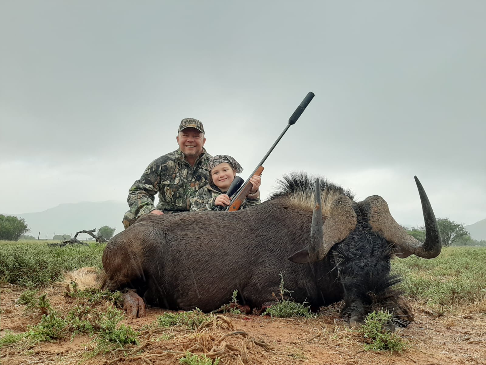 A blue wildebeest taken on safari in South Africa