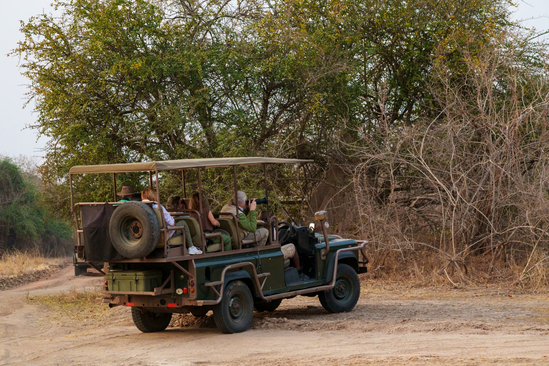 Guided safari vehicle in the South African bushveld