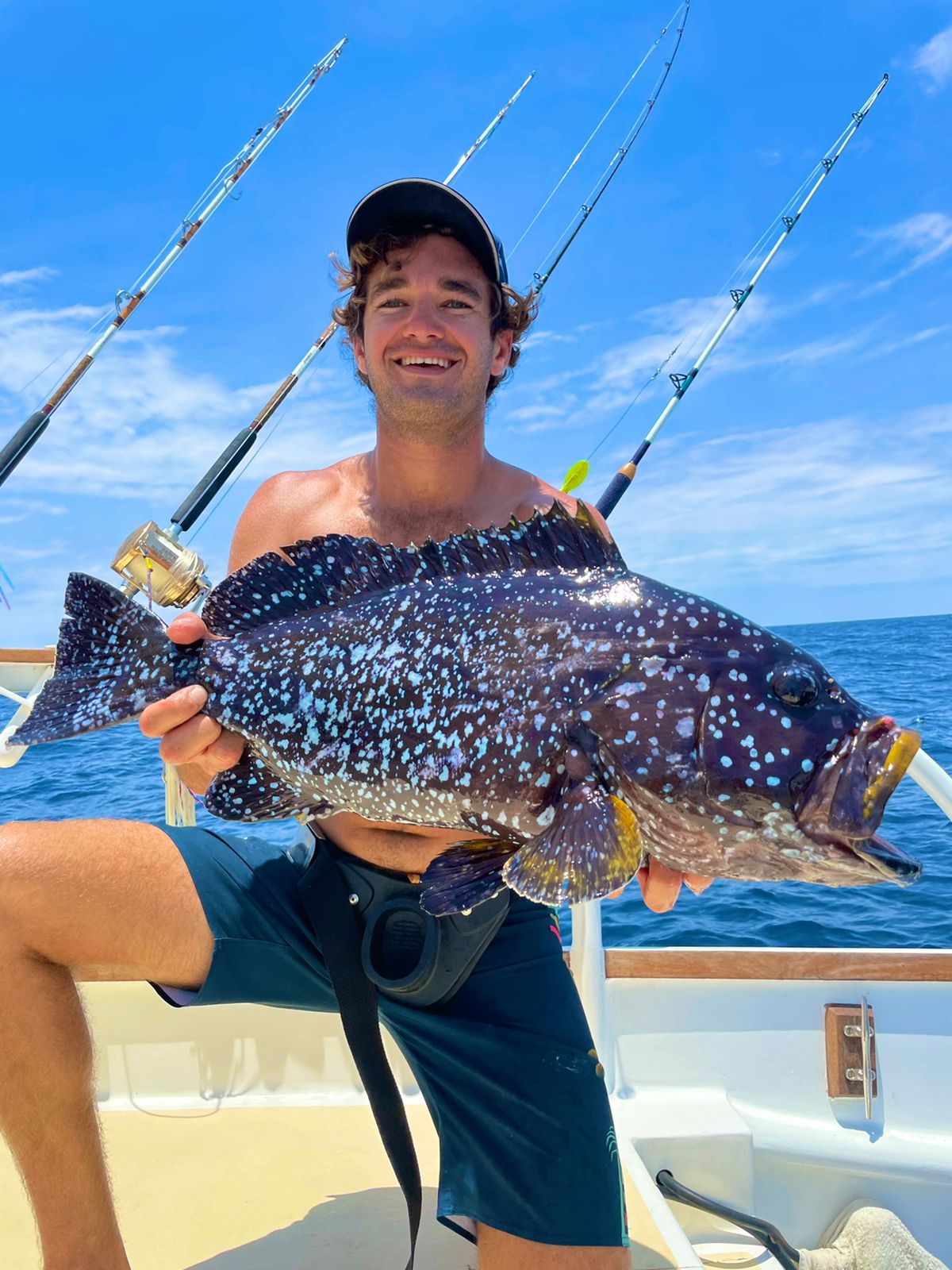A grouper up from the reef.