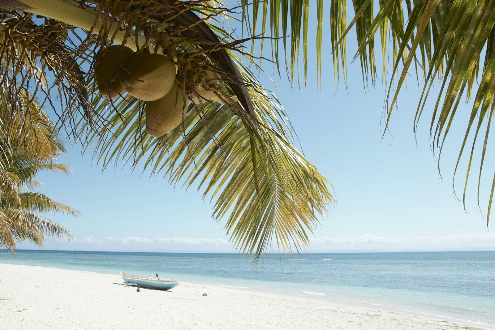 A palm-fringed beach with a boat on the sand