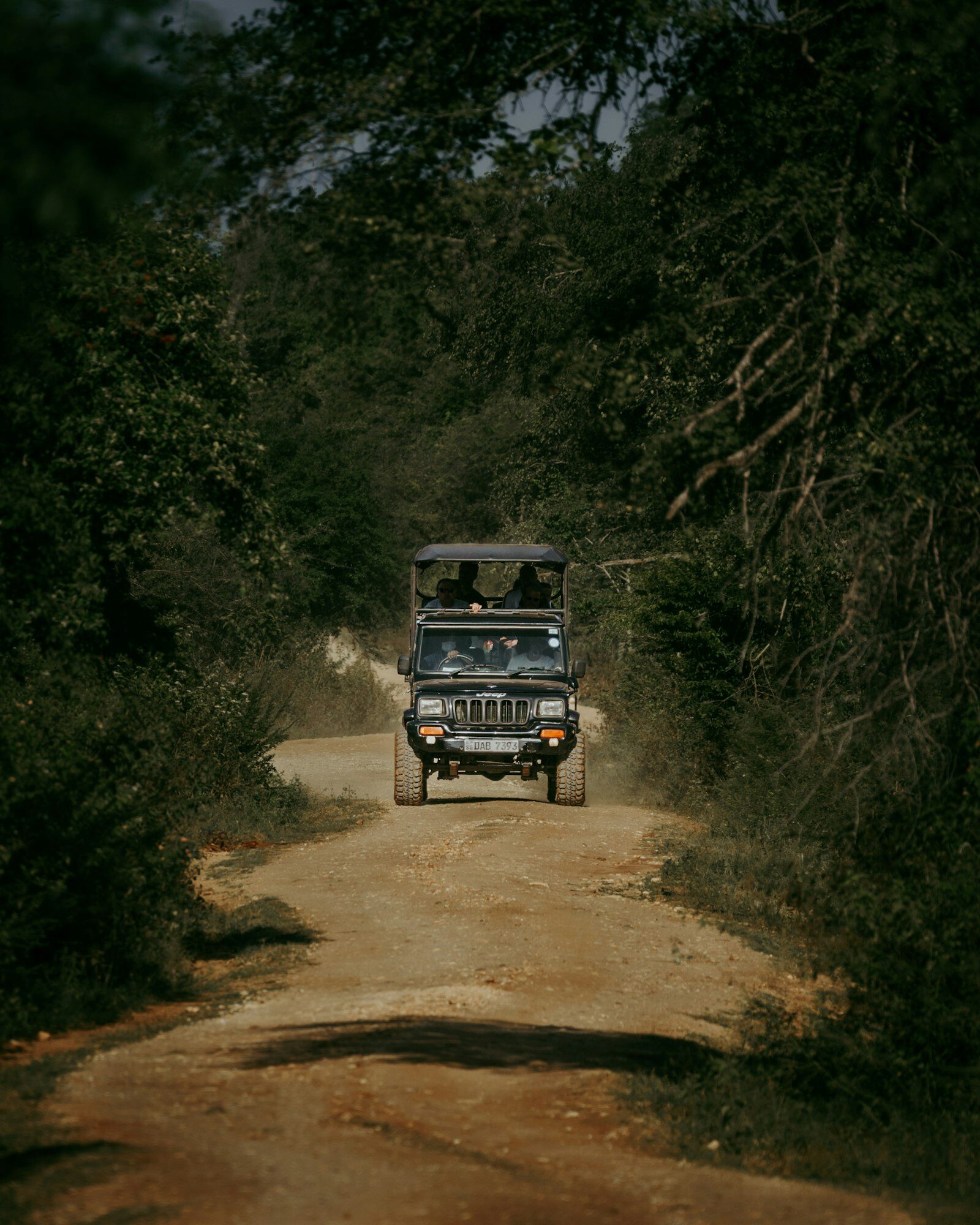 A game-drive vehicle on a bush road